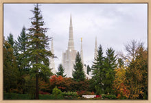 Load image into Gallery viewer, Portland Temple Forest Through The Trees