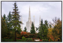 Load image into Gallery viewer, Portland Temple Forest Through The Trees