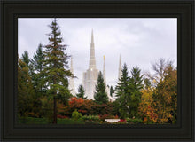 Load image into Gallery viewer, Portland Temple Forest Through The Trees