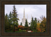 Load image into Gallery viewer, Portland Temple Forest Through The Trees