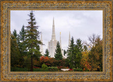 Load image into Gallery viewer, Portland Temple Forest Through The Trees