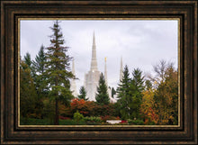 Load image into Gallery viewer, Portland Temple Forest Through The Trees