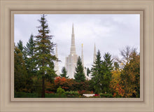 Load image into Gallery viewer, Portland Temple Forest Through The Trees