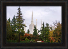 Load image into Gallery viewer, Portland Temple Forest Through The Trees