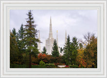 Load image into Gallery viewer, Portland Temple Forest Through The Trees