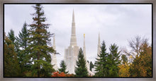 Load image into Gallery viewer, Portland Temple Forest Through The Trees