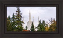 Load image into Gallery viewer, Portland Temple Forest Through The Trees