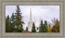 Load image into Gallery viewer, Portland Temple Forest Through The Trees
