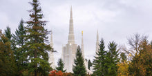 Load image into Gallery viewer, Portland Temple Forest Through The Trees