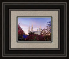 Load image into Gallery viewer, Washington DC Christmas Morning
