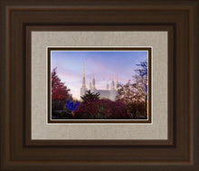 Load image into Gallery viewer, Washington DC Christmas Morning