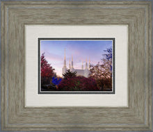 Load image into Gallery viewer, Washington DC Christmas Morning