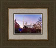Load image into Gallery viewer, Washington DC Christmas Morning