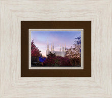 Load image into Gallery viewer, Washington DC Christmas Morning