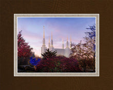 Load image into Gallery viewer, Washington DC Christmas Morning