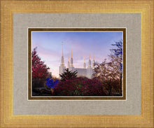 Load image into Gallery viewer, Washington DC Christmas Morning