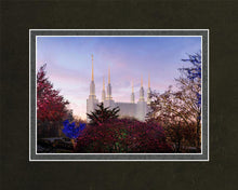 Load image into Gallery viewer, Washington DC Christmas Morning