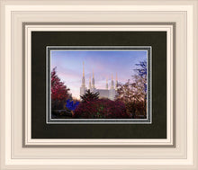 Load image into Gallery viewer, Washington DC Christmas Morning