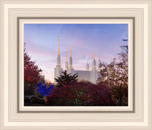 Load image into Gallery viewer, Washington DC Christmas Morning