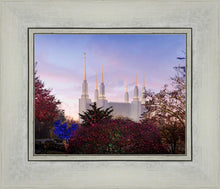 Load image into Gallery viewer, Washington DC Christmas Morning