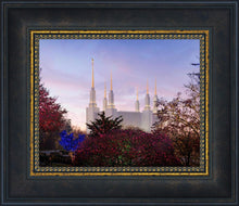 Load image into Gallery viewer, Washington DC Christmas Morning