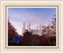 Load image into Gallery viewer, Washington DC Christmas Morning