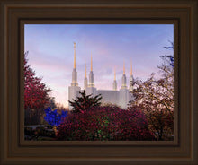 Load image into Gallery viewer, Washington DC Christmas Morning