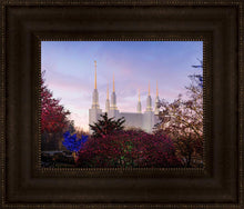 Load image into Gallery viewer, Washington DC Christmas Morning
