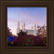 Load image into Gallery viewer, Washington DC Christmas Morning
