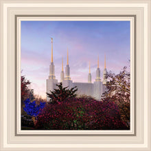 Load image into Gallery viewer, Washington DC Christmas Morning