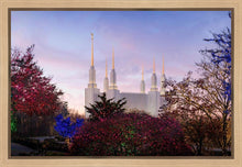 Load image into Gallery viewer, Washington DC Christmas Morning