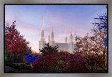 Load image into Gallery viewer, Washington DC Christmas Morning
