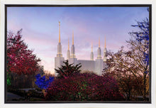 Load image into Gallery viewer, Washington DC Christmas Morning