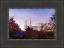 Load image into Gallery viewer, Washington DC Christmas Morning