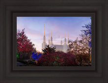 Load image into Gallery viewer, Washington DC Christmas Morning