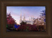 Load image into Gallery viewer, Washington DC Christmas Morning