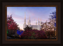 Load image into Gallery viewer, Washington DC Christmas Morning