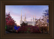 Load image into Gallery viewer, Washington DC Christmas Morning
