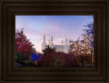 Load image into Gallery viewer, Washington DC Christmas Morning