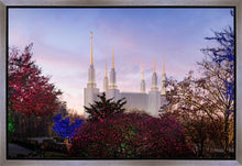Load image into Gallery viewer, Washington DC Christmas Morning