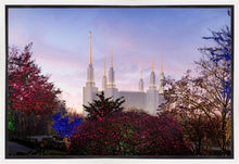 Load image into Gallery viewer, Washington DC Christmas Morning
