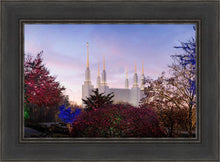 Load image into Gallery viewer, Washington DC Christmas Morning
