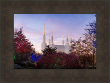 Load image into Gallery viewer, Washington DC Christmas Morning