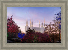 Load image into Gallery viewer, Washington DC Christmas Morning