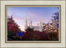 Load image into Gallery viewer, Washington DC Christmas Morning