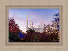 Load image into Gallery viewer, Washington DC Christmas Morning