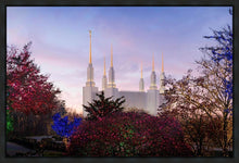 Load image into Gallery viewer, Washington DC Christmas Morning