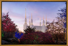 Load image into Gallery viewer, Washington DC Christmas Morning