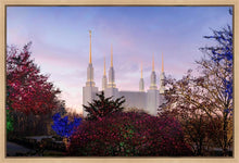 Load image into Gallery viewer, Washington DC Christmas Morning