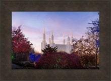Load image into Gallery viewer, Washington DC Christmas Morning